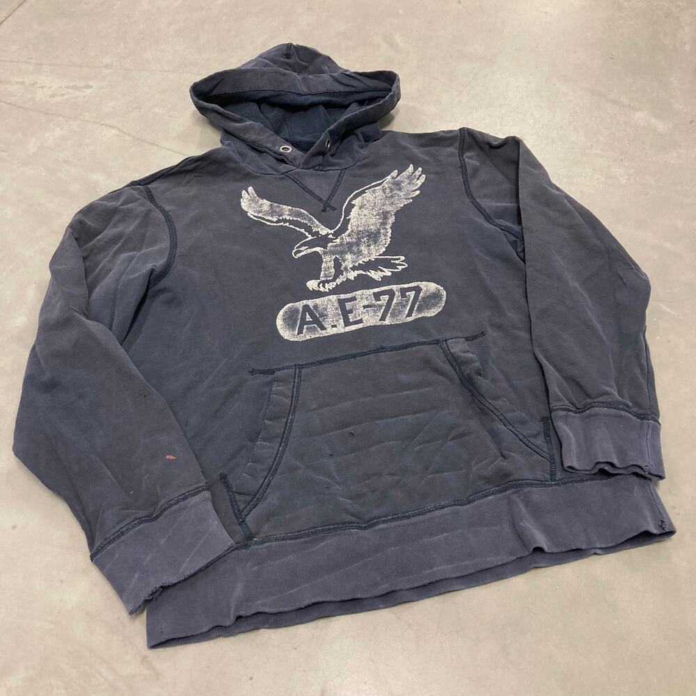 Y2K American eagle Hoodie